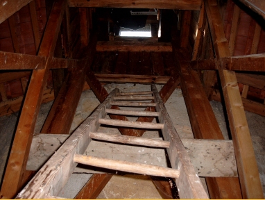 Baumgarten3
