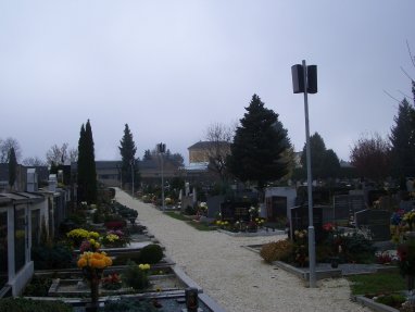 Friedhof102