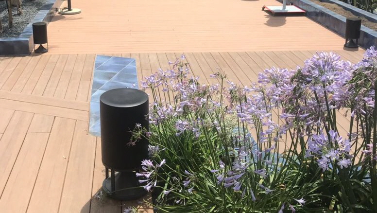 MEDIUM CYLINDER 01   777 X