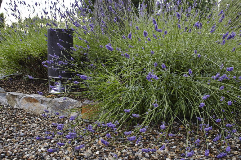 TALL CYLINDER 02   777 X